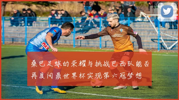 桑巴足球的荣耀与挑战巴西队能否再度问鼎世界杯实现第六冠梦想